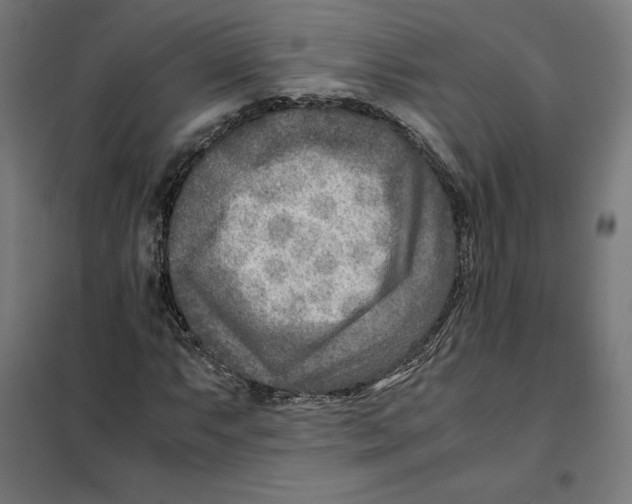 X0000101191063200807250957