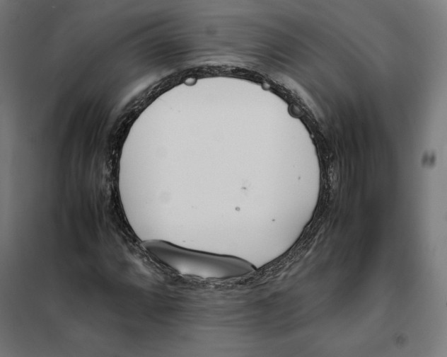 X0000101191064200807250957