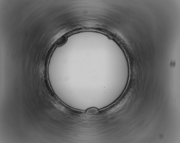 X0000101191065200807250957