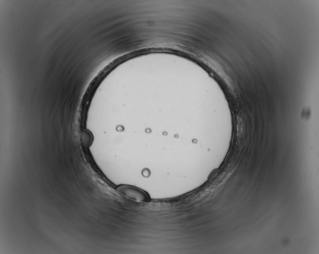 X0000101191068200807250957
