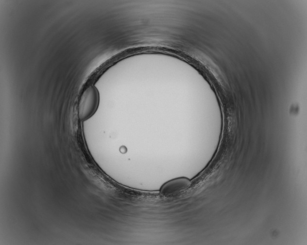 X0000101191069200807250957