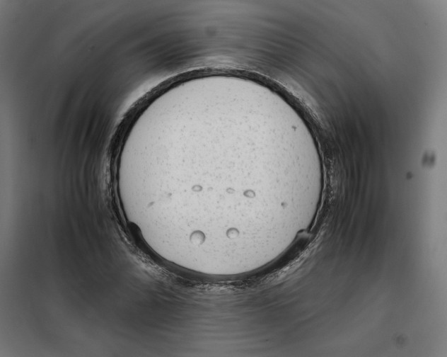 X0000101191070200807250957