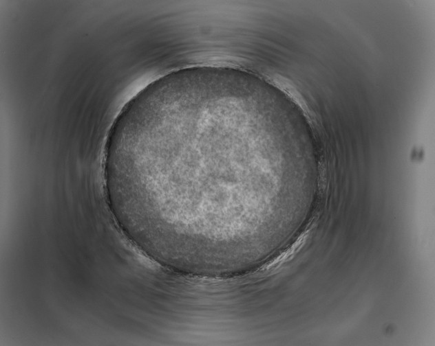 X0000101191071200807250957