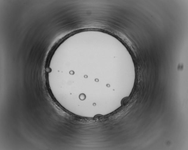 X0000101191072200807250957