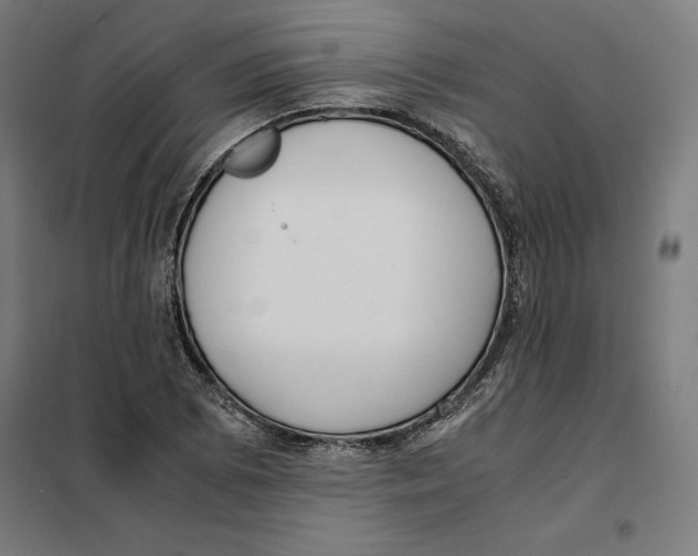X0000101191073200807250957