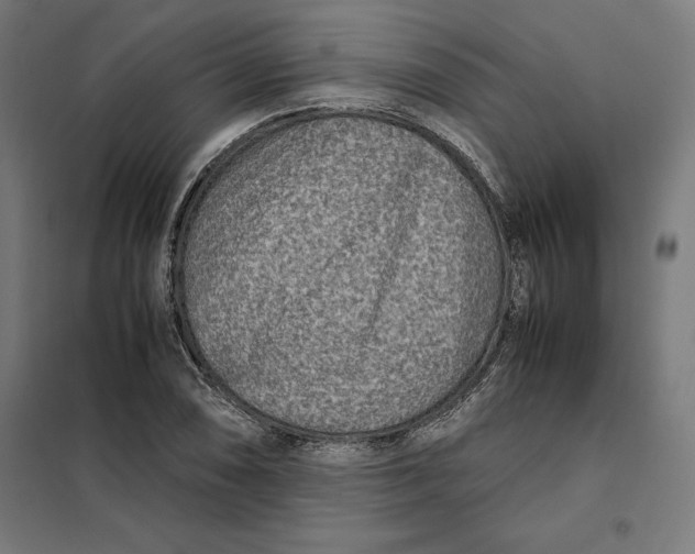X0000101191074200807250957