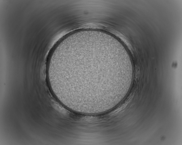 X0000101191075200807250957