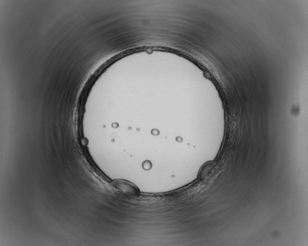 X0000101191076200807250957