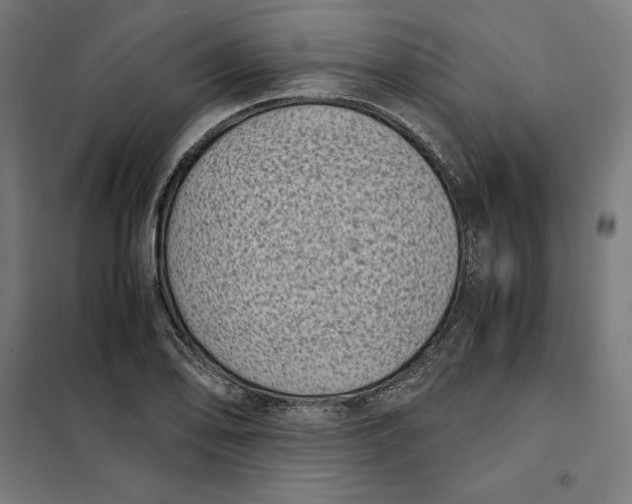 X0000101191078200807250957
