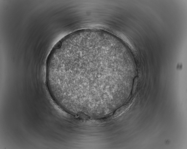 X0000101191079200807250957