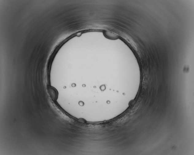 X0000101191080200807250957