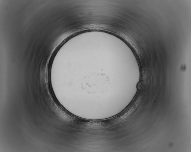 X0000101191082200807250957