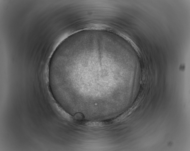 X0000101191083200807250957
