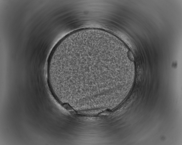 X0000101191084200807250957