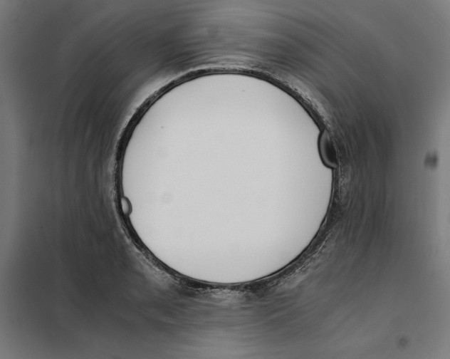 X0000101191085200807250957