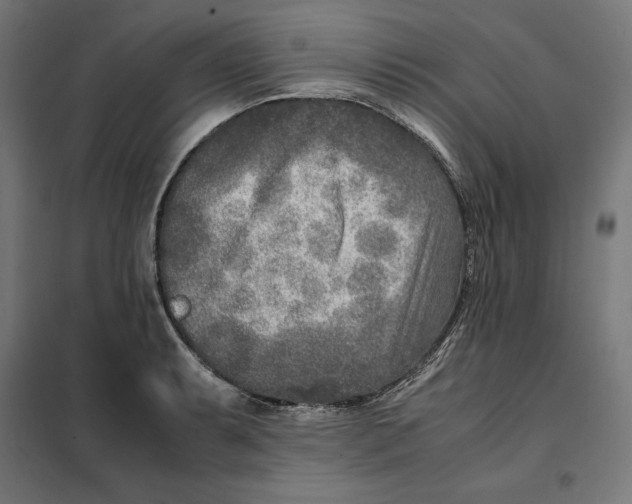 X0000101191087200807250957
