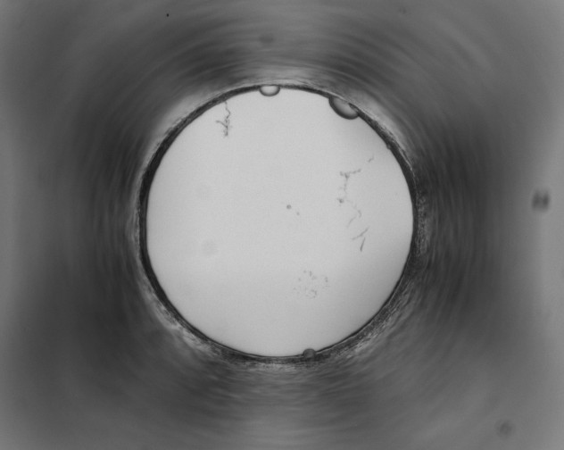 X0000101191088200807250957