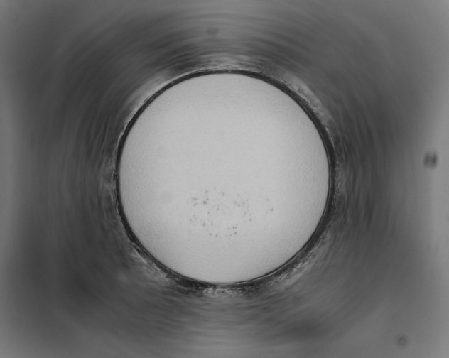 X0000101191089200807250957