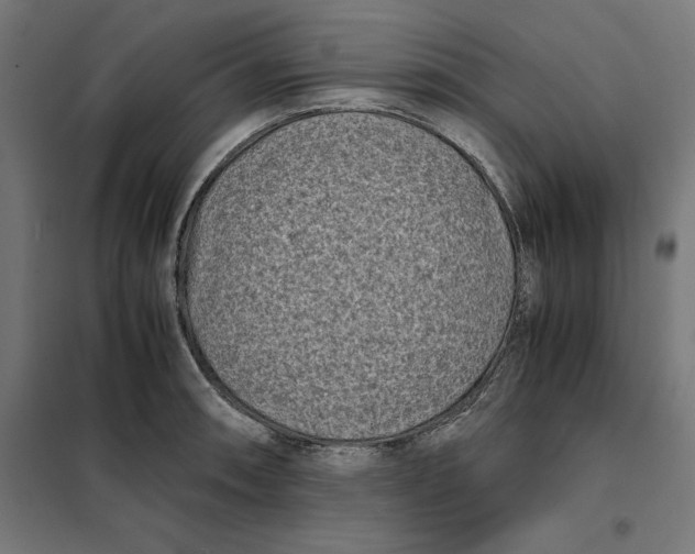 X0000101191090200807250957