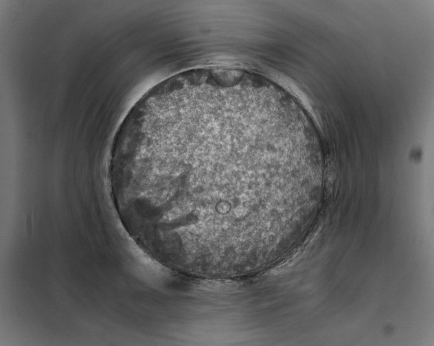 X0000101191091200807250957