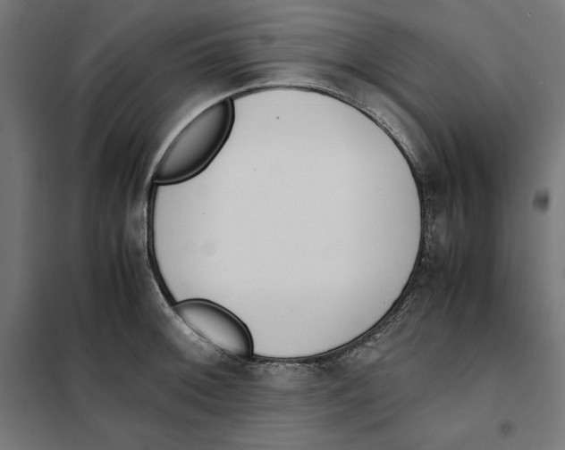X0000101191092200807250957