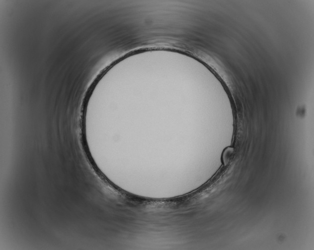 X0000101191093200807250957