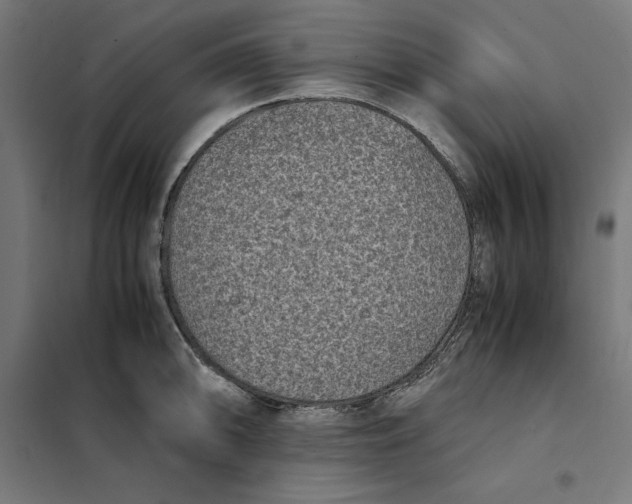 X0000101191094200807250957