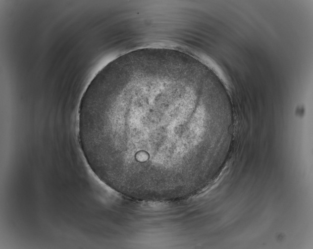 X0000101191095200807250957
