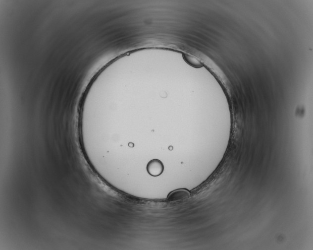 X0000101191096200807250957