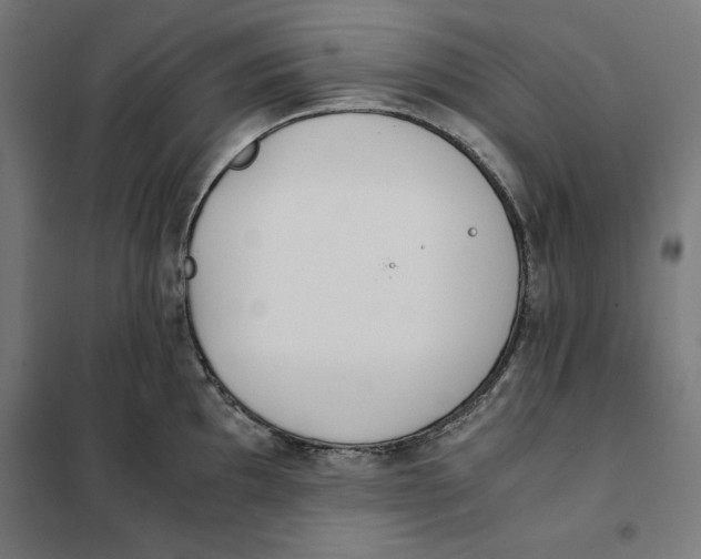 X0000101191097200807250957