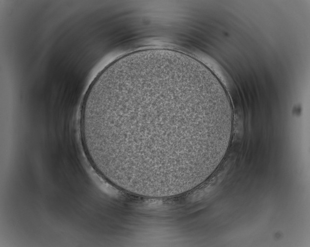 X0000101191098200807250957