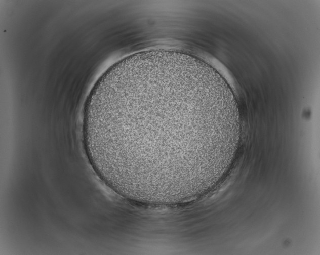 X0000101191099200807250957