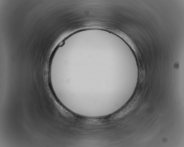 X0000101191101200807250957