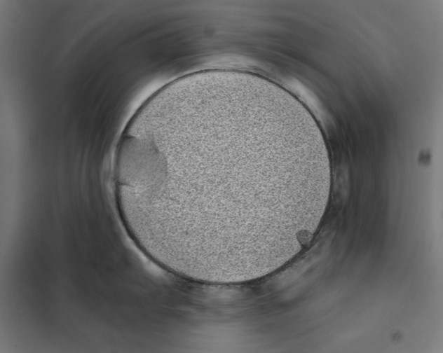 X0000101191103200807250957