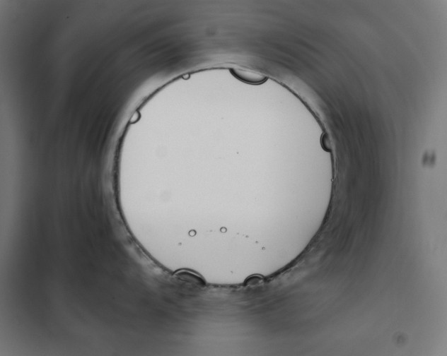 X0000101191104200807250957