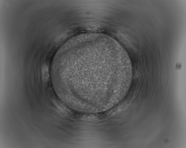 X0000101191106200807250956