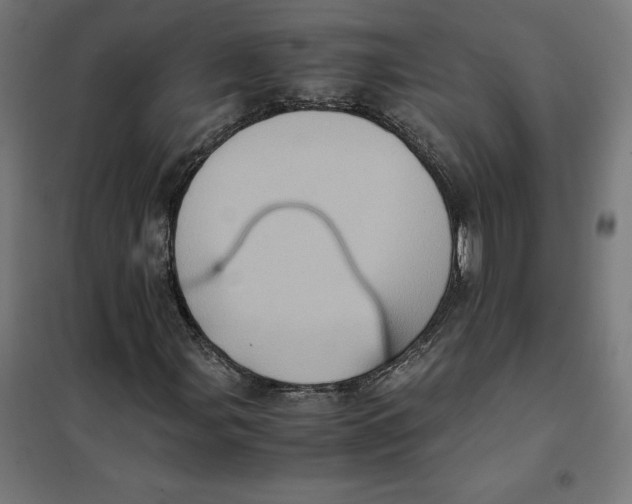 X0000101191107200807250956