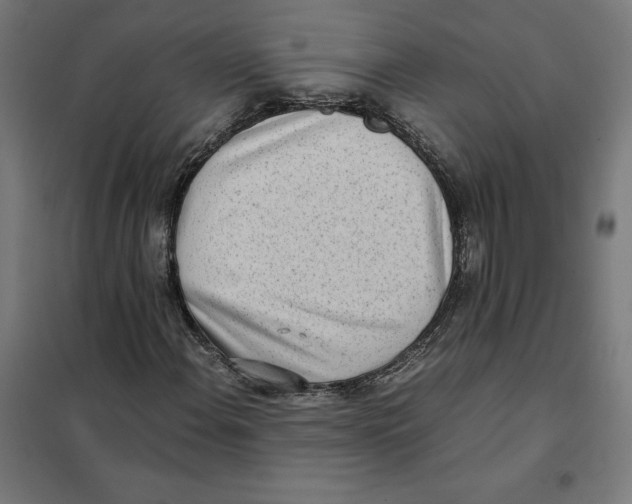 X0000101191108200807250956