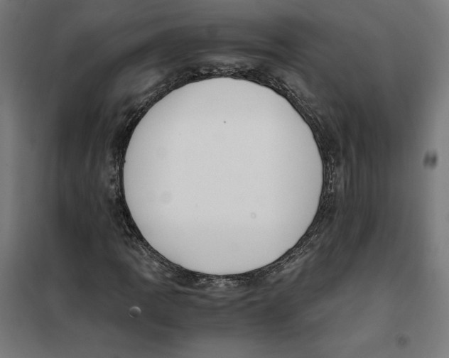 X0000101191109200807250956