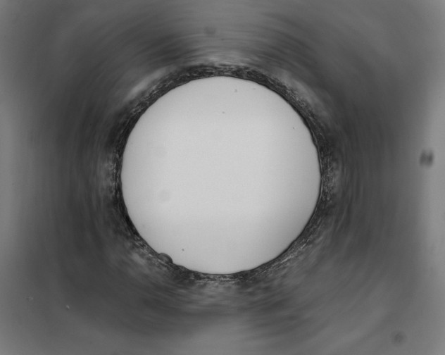 X0000101191110200807250956