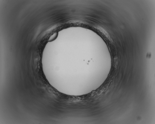 X0000101191111200807250956