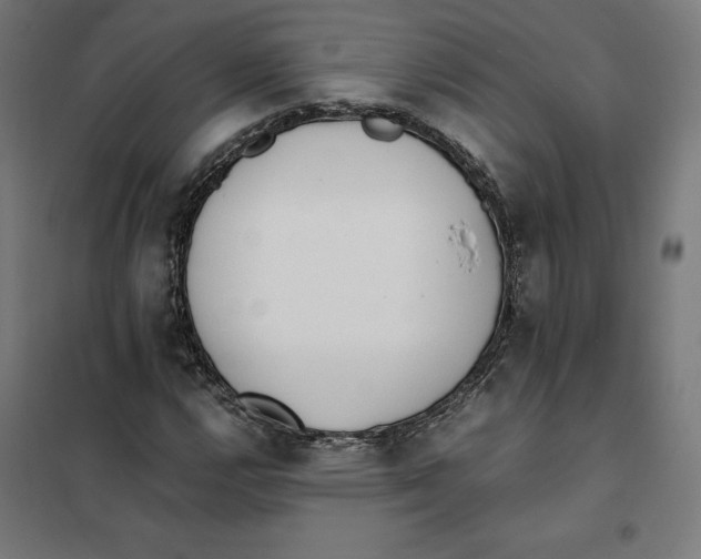 X0000101191112200807250956