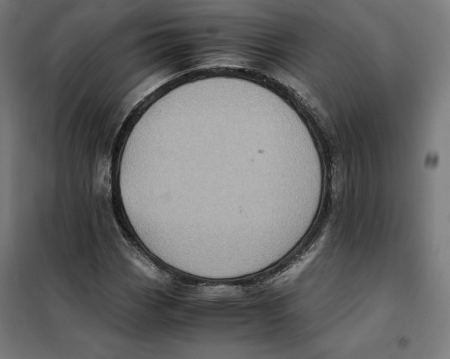 X0000101191113200807250956