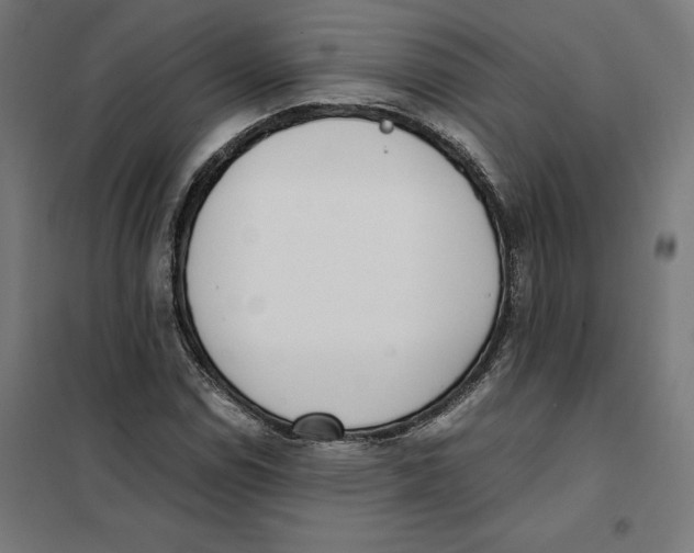 X0000101191114200807250956