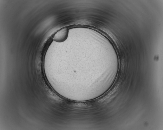 X0000101191115200807250956