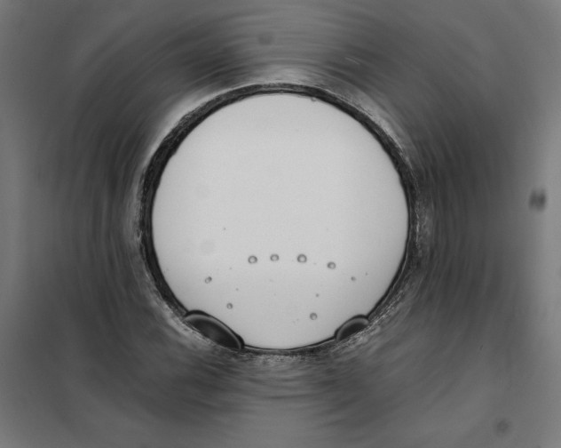 X0000101191116200807250956