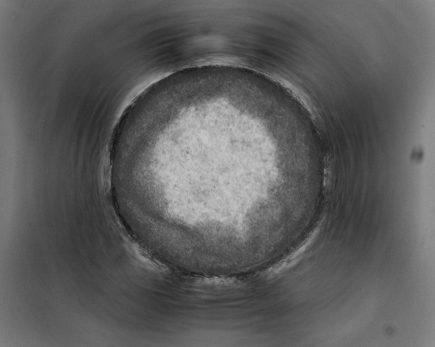 X0000101191117200807250956