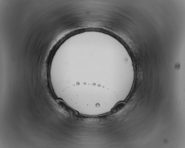 X0000101191118200807250956