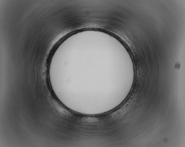 X0000101191119200807250956