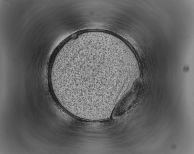 X0000101191120200807250956